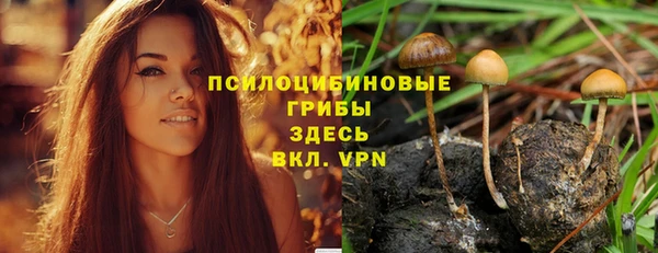 spice Краснотурьинск