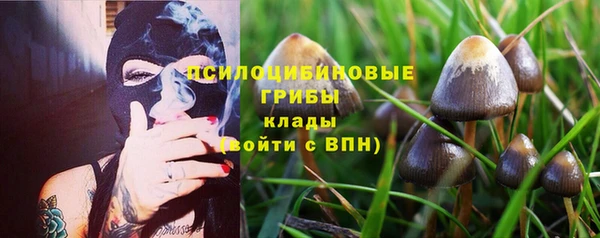 spice Краснотурьинск