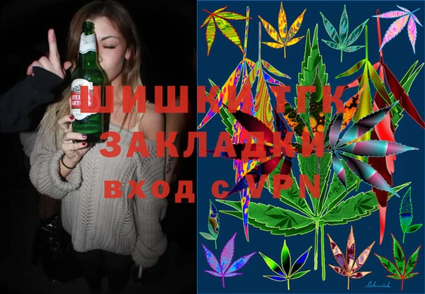 2c-b Краснослободск