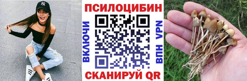 купить закладку Солнечногорск Псилоцибиновые грибы Psilocybe