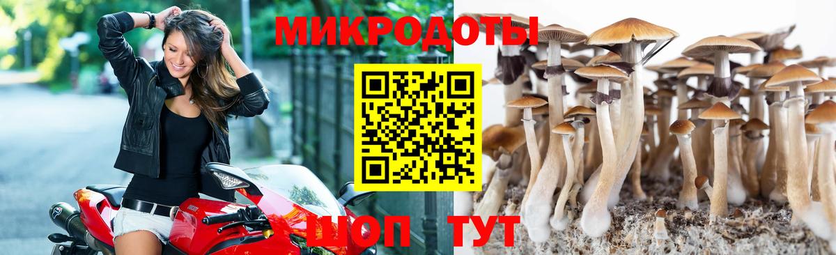 Галлюциногенные грибы мицелий  Галлюциногенные грибы мухоморы  Вход с VPN  Солнечногорск 